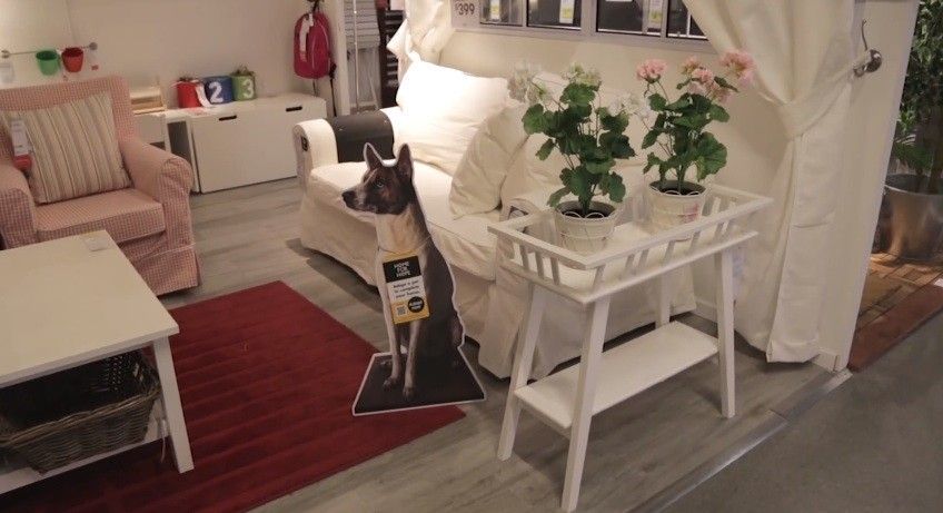 Street Dogs Integrated into Advertising Campaigns