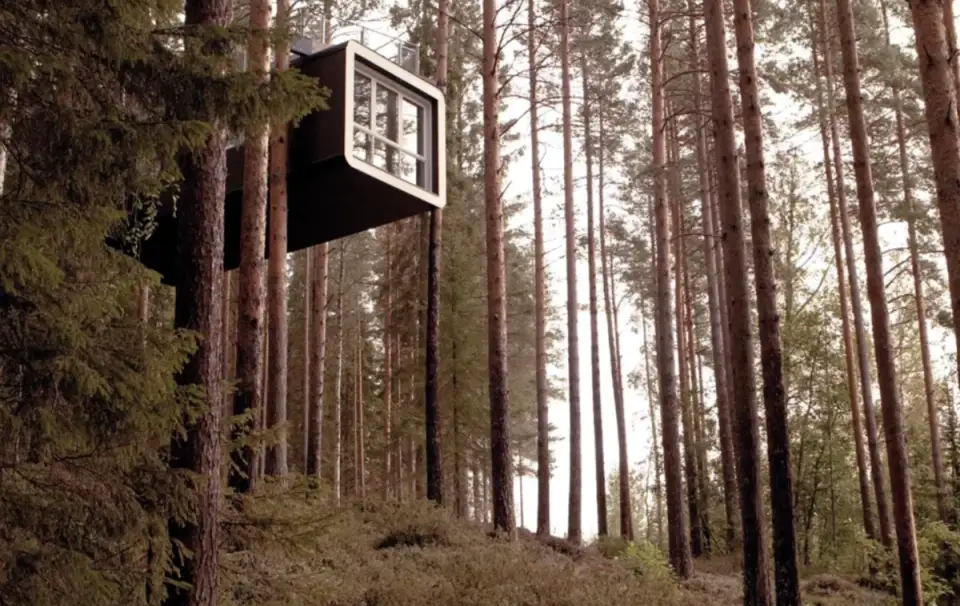 Treehotel, Harads, Suedia: povestea arhitecturii sale ciudate