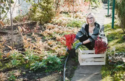 Seasonal Tips for Winter Garden Maintenance