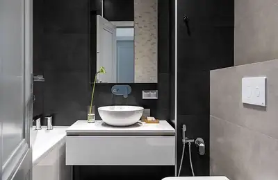 12+ Black and White Bathroom Design Models