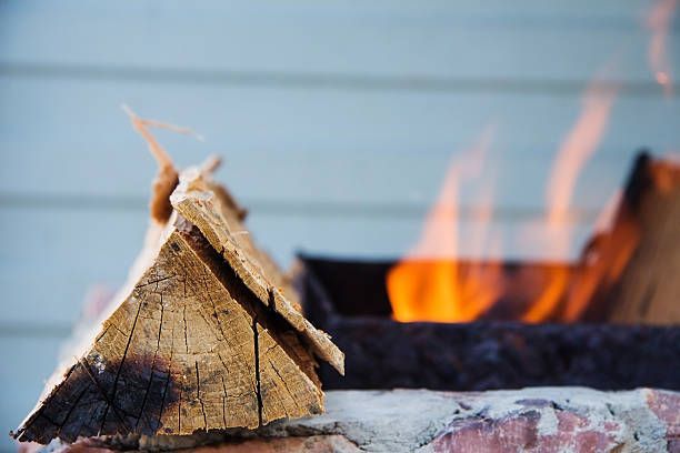 Wood-Fired Boilers: Advantages and Disadvantages
