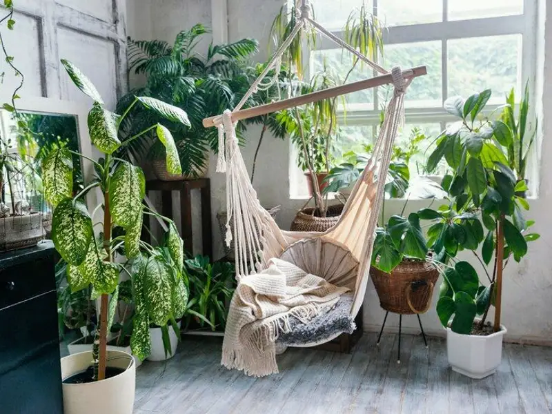 De ce să aduci natura în casa ta și cum să reușești acest lucru cu un decor simplu