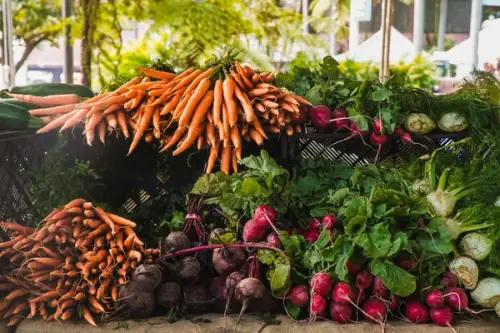 Asocieri de legume – ce plante nu merg bine impreuna
