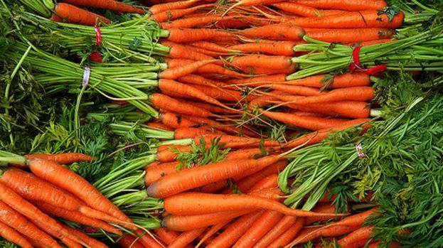 How to Plant Carrots (VIDEO)