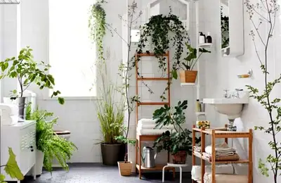 Bathroom Decor Trends: Using Plants