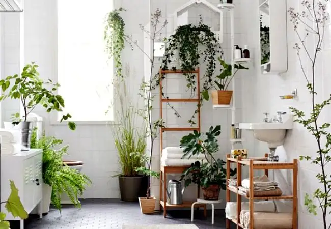 Bathroom Decor Trends: Using Plants