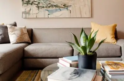 Coffee Table Styling Tips