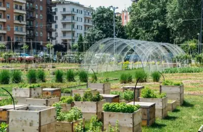 Urban Farming: Growing Vegetables and Fruit in Cities