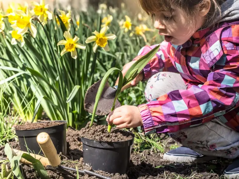 Ce flori poți planta în martie și cum să îți pregătești grădina pentru primăvară
