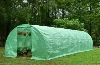Key Factors for Greenhouse Care