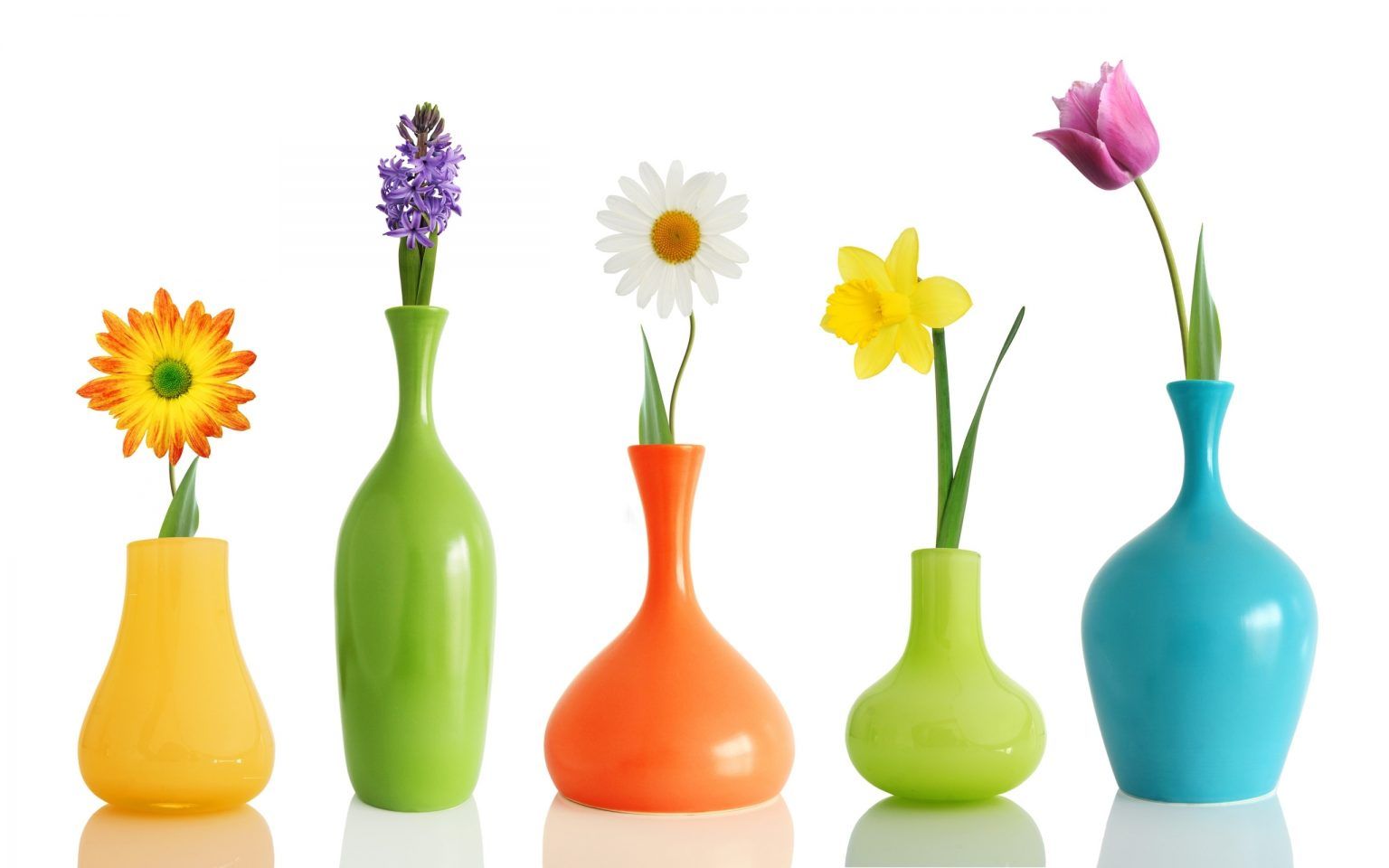 How to Cut Flowers for Longer Vase Life (VIDEO)