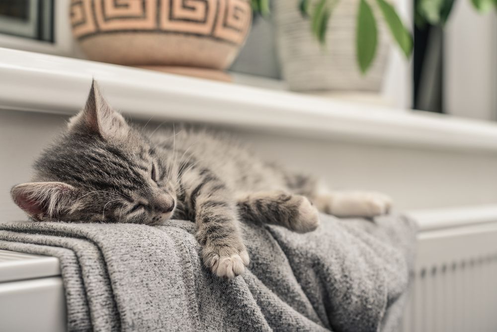3 Useful Tips for a Warm Home with Minimal Consumption