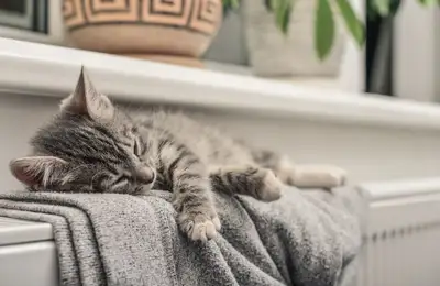 3 Useful Tips for a Warm Home with Minimal Consumption