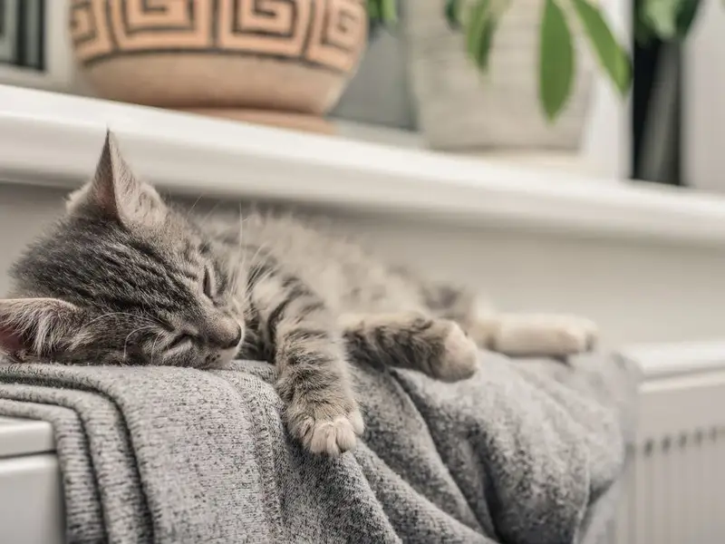 3 sfaturi utile pentru a avea o casa calduroasa, cu un consum minim