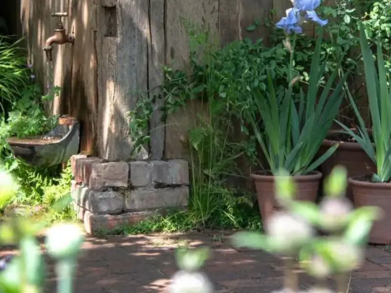 3 combinații de plante la ghiveci care „adoră” să fie uitate- pentru flori superbe toată vara, fără bătăi de cap