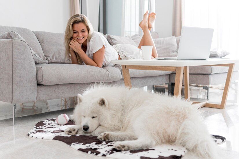 Top 6 Training Tricks for the Unruly Dog Raised in an Apartment