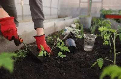 6 Essential Vegetables to Plant in Your Garden