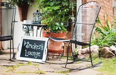 Cool Ideas for Choosing Outdoor Plants