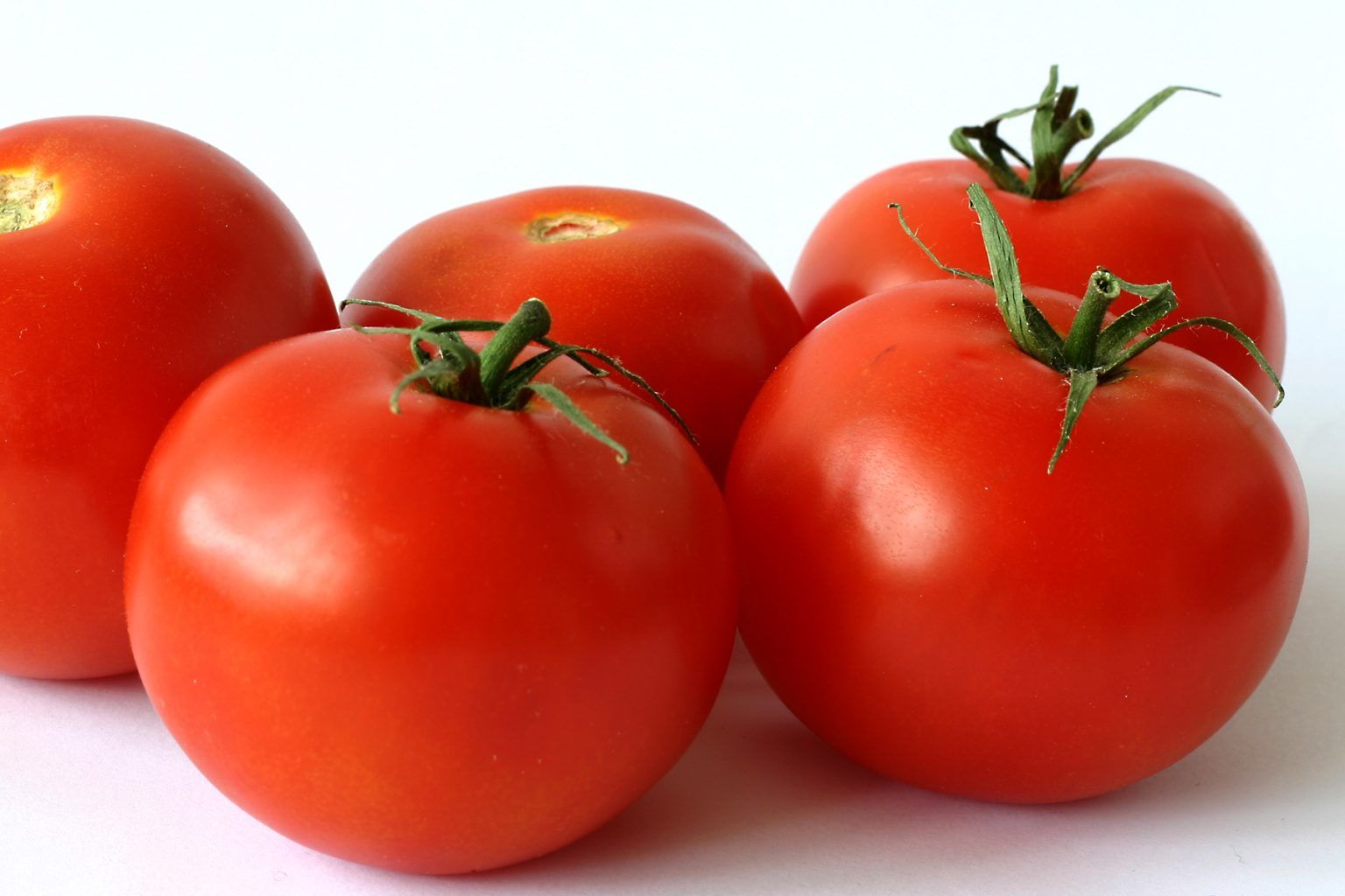 TUTORIAL: Cum se planteaza rosiile – tomatele? (VIDEO)