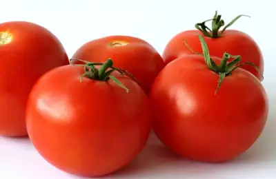 Tutorial: Planting Tomatoes - Are They Really Different? (VIDEO)