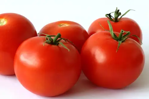 TUTORIAL: Cum se planteaza rosiile – tomatele? (VIDEO)