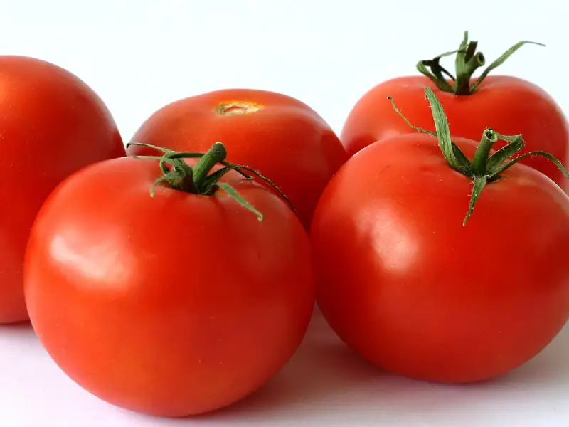 TUTORIAL: Cum se planteaza rosiile – tomatele? (VIDEO)