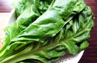 How to Plant Spinach? (VIDEO)