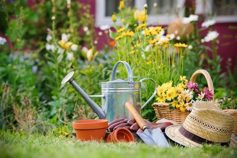 5 secrete pentru a gradinari cu placere