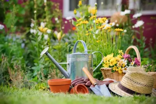 5 secrete pentru a gradinari cu placere