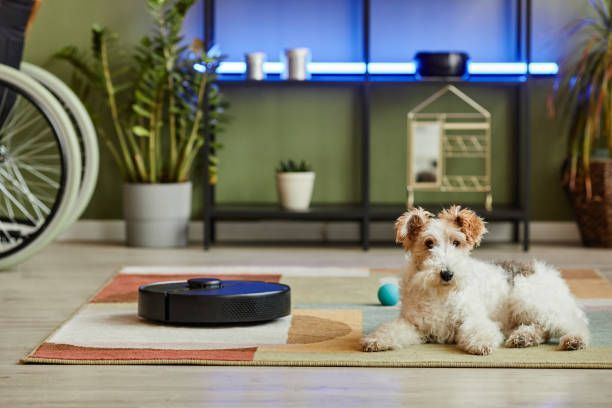 Fast Cleaning Solutions for Homes with Pets