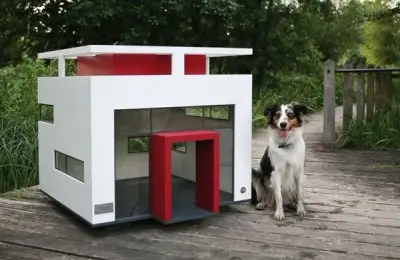 The Most Luxurious and Charming Dog Houses
