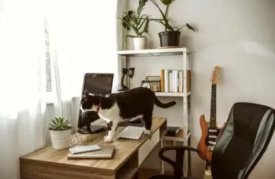 Common Interior Design Mistakes and How to Avoid Them