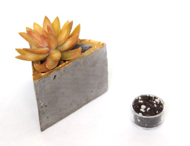 How to Make Wall Planters for Your Home