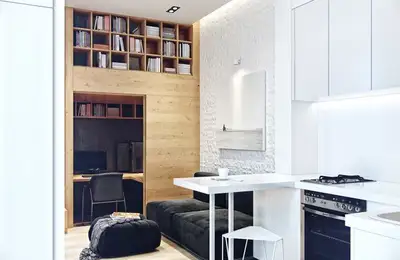 Elegant and Comfortable 20 Square Meter Loft in Kiev