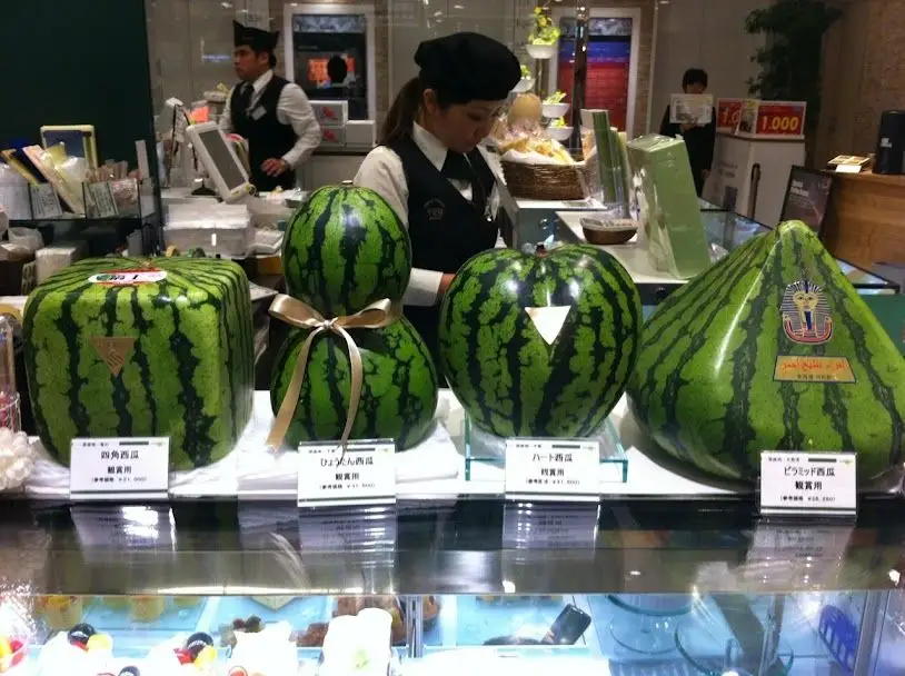 How to Plant and Grow Fruits in Unusual Shapes? (VIDEO)