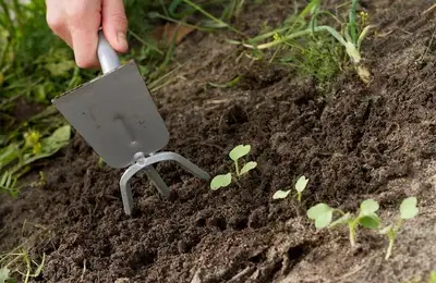 Preparing the Garden: Soil Tilling