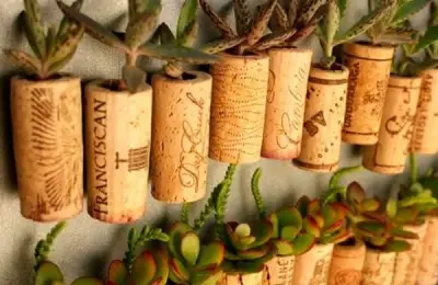 20 of the Most Charming Micro Gardens