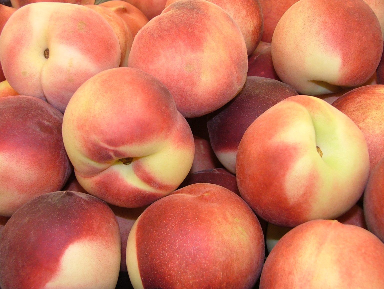 How to Plant a Peach Tree (VIDEO)