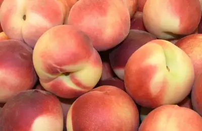 How to Plant a Peach Tree (VIDEO)