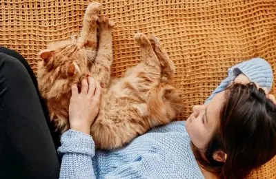 Why We Love Cats: 10 Reasons They're Irresistible