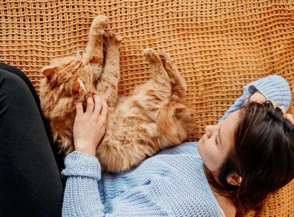 De ce iubim pisicile? 10 motive care le fac irezistibile