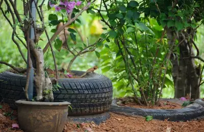 Using Old Tires for Unique Outdoor Home Design