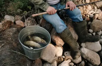 Cum te ajută un dispozitiv portabil ThermaCELL să rămâi concentrat la vârful lansetei în Delta Dunării