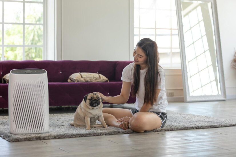 Portable Air Conditioning: Types, Advantages, and Disadvantages
