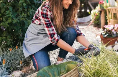 Garden Design Ideas for All Seasons: Plants, Arrangements, and Decorative Elements