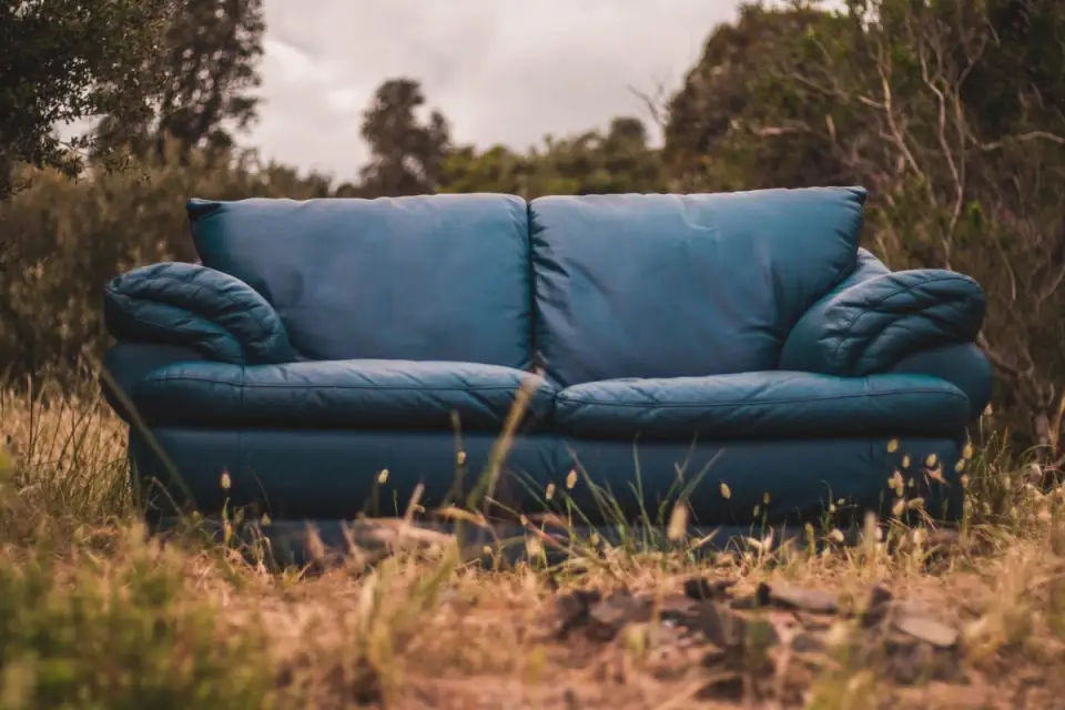 Types of Sofas and Their Qualities