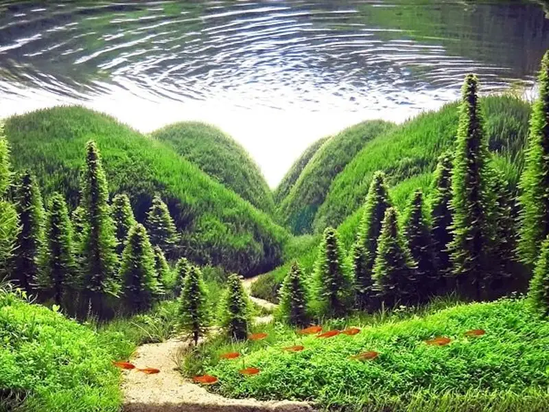 Acvarii incredibile cu peisaje in miniatura inspirate din gradini si paduri