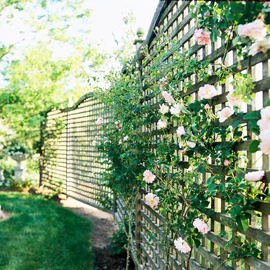 Idei decorative pentru garduri