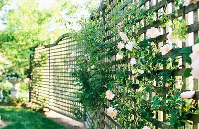 Decorative Ideas for Fences