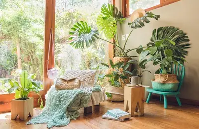 Creating Green Spaces in Your Home to Experience Nature Indoors